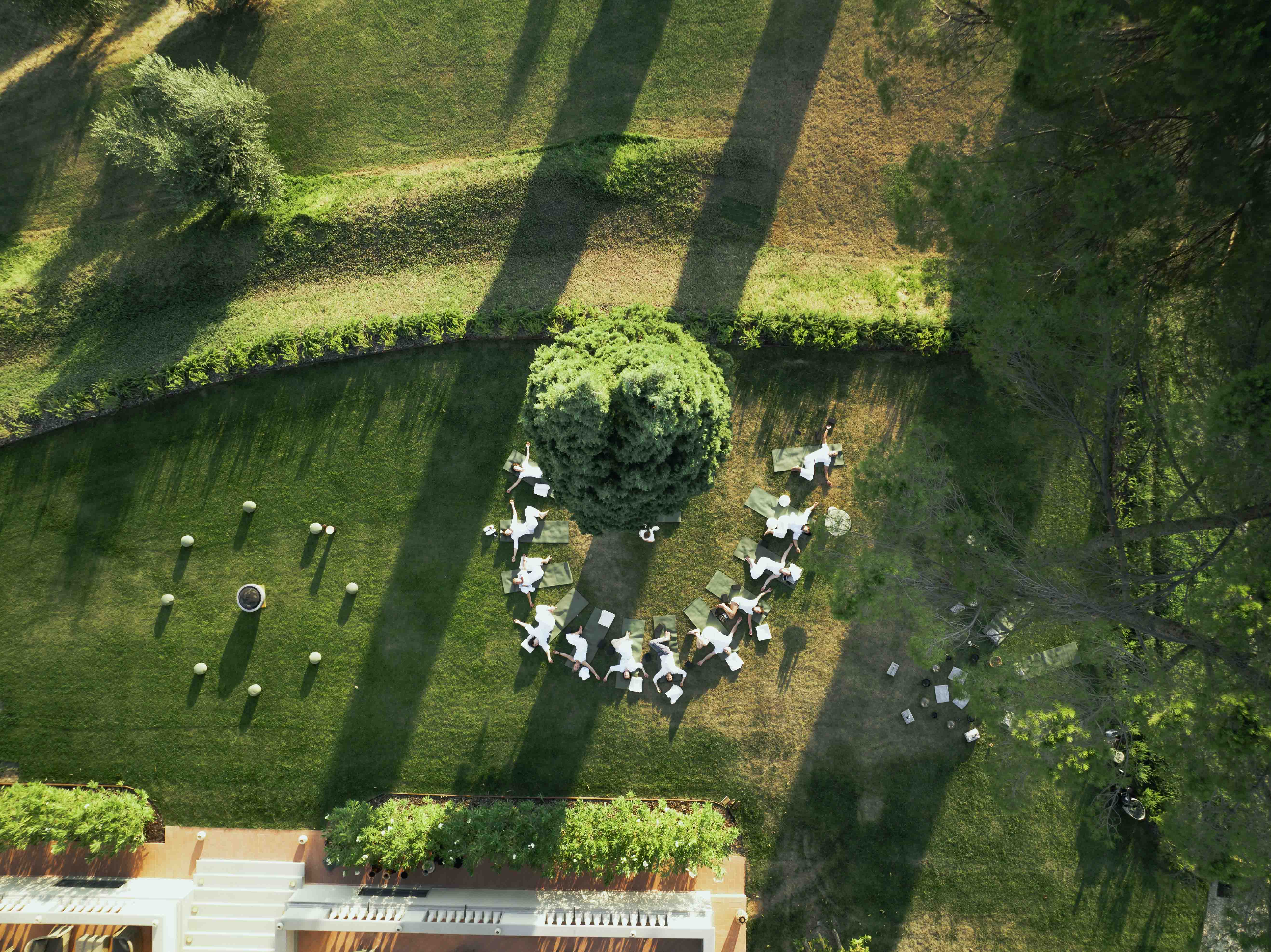 Aerial view of group gathering on the lawn
